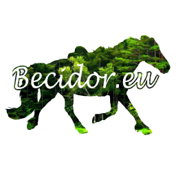 Becidor